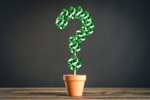 葬式の一本花に樒が使われる理由とは？枕花や一輪花との違いとあわせて解説！