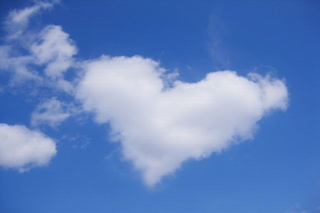 おひとりさまの終活｜さいたま市の自治体サービスをフル活用する方法