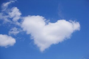 秋田市のおひとりさま終活ガイド｜地域包括支援センター・見守り・市営墓地を解説