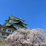 おひとりさまの終活、名古屋市の自治体サービスを活用しよう｜公式資料でわかりやすく解説