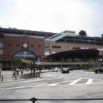 大分市のおひとりさま終活｜もしものときに備える自治体サービス活用法