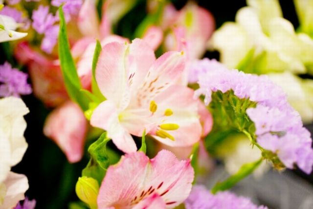 ⑤相談窓口のまとめ｜川口市のおひとりさま終活サポート窓口一覧