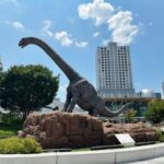 福井市のおひとりさま終活ガイド｜ほやねっと・緊急通報・見守り支援を解説