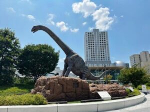 福井市のおひとりさま終活ガイド|ほやねっと・緊急通報・見守り支援を解説