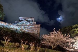 高知市おひとりさまの終活|自治体の支援サービスを活用して安心して備えよう