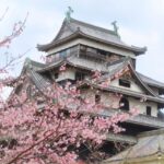 松江市のおひとりさま終活｜自治体の支援サービスを活用して安心を備えよう
