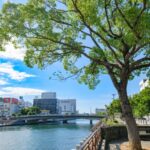 おひとりさまの終活と自治体サービス｜徳島市の公式サポートを使いこなすガイド