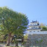 津市のおひとりさま終活ガイド｜自治体サービスをフル活用してひとりでも安心の備えを