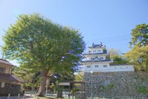 津市のおひとりさま終活ガイド｜自治体サービスをフル活用してひとりでも安心の備えを